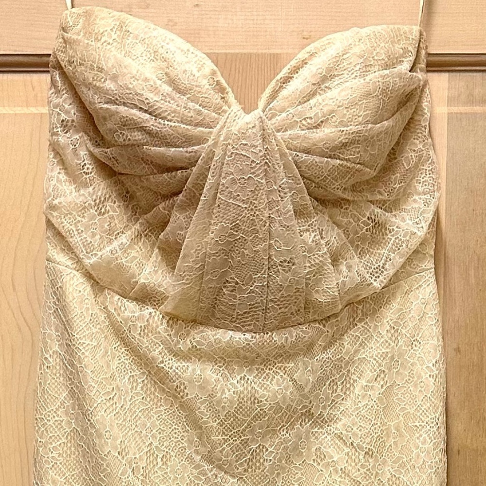 Ivy & Aster Violet Strapless Wedding Gown
